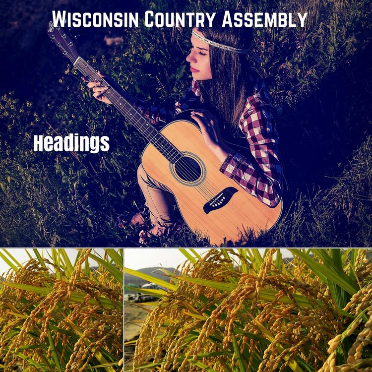 Wisconsin Country Assembly's avatar image