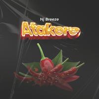 Nj Breeze's avatar cover