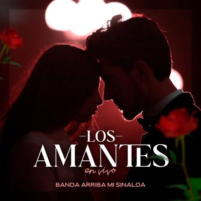 Los Amantes (En Vivo)'s cover