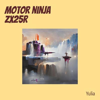Motor Ninja Zx25r's cover