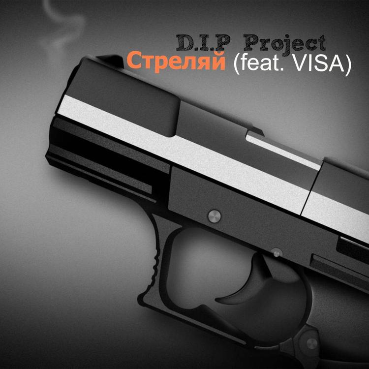 D.i.p. Project's avatar image