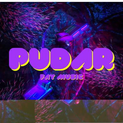 PUDAR's cover