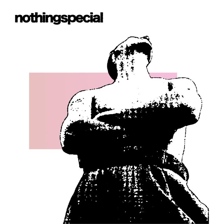 Nothingspecial's avatar image