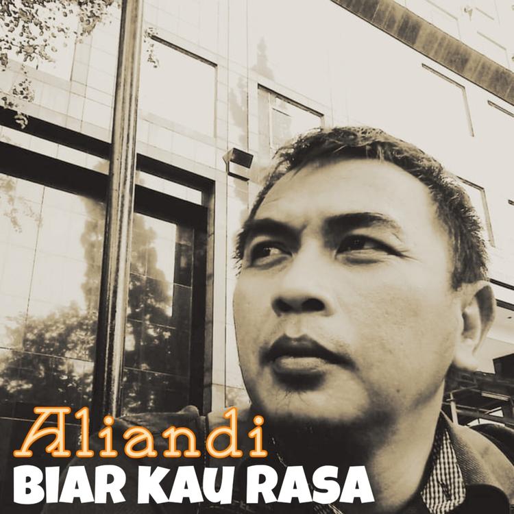 Aliandi's avatar image