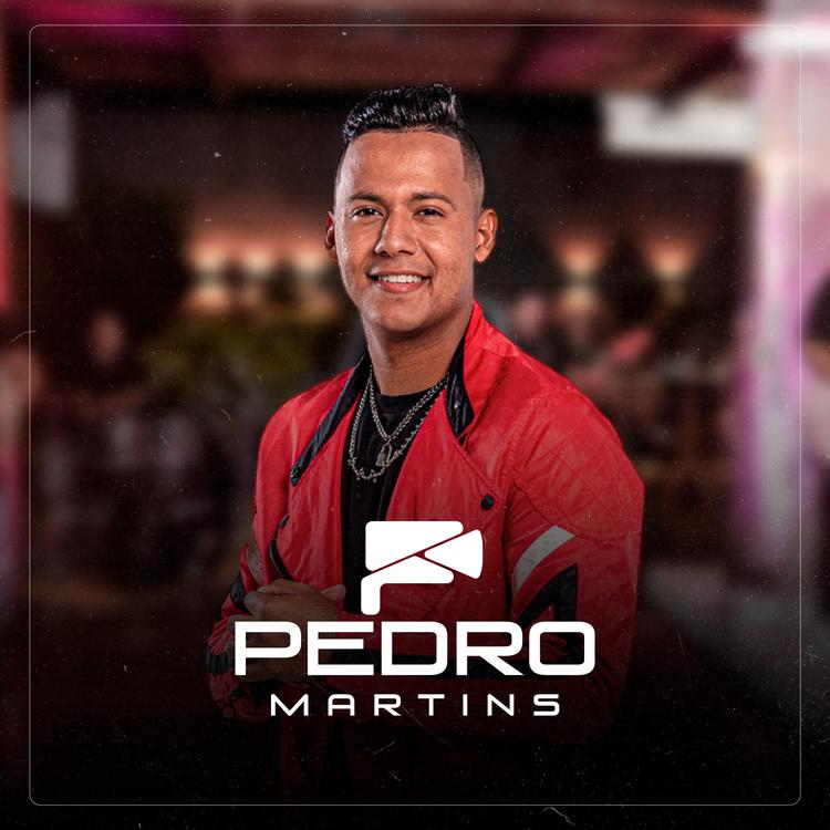 Pedro Martins Cantor's avatar image