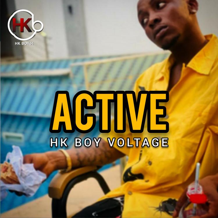 Hk boy voltage's avatar image