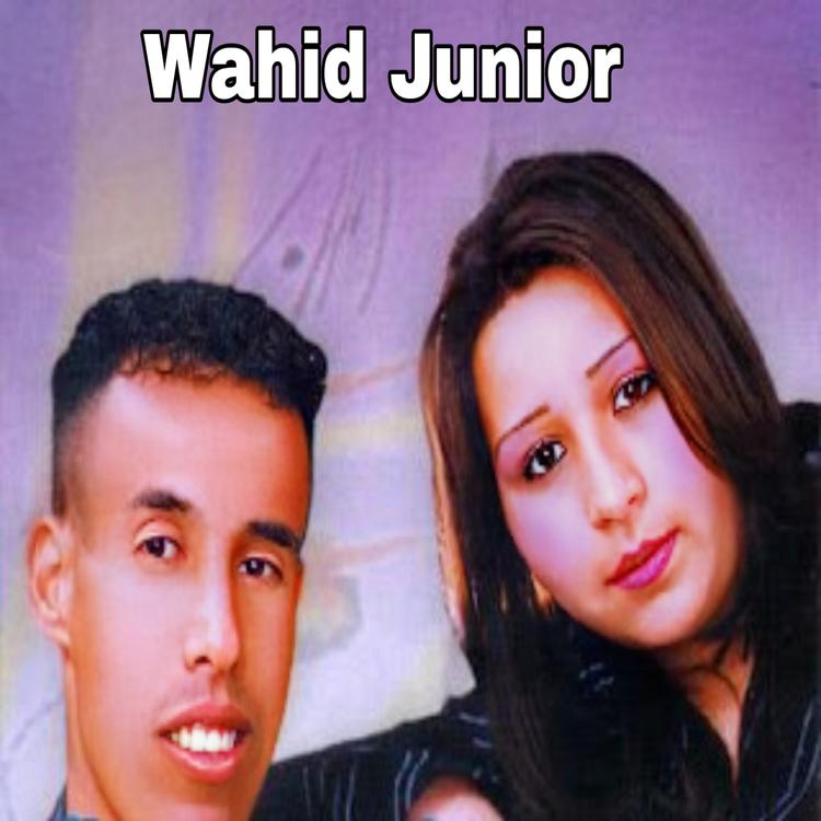 Wahid Junior's avatar image
