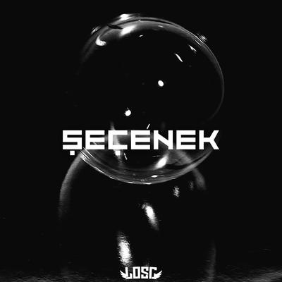 SEÇENEK's cover