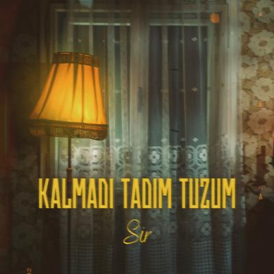 Kalmadı Tadım Tuzum's cover