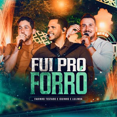 Fui Pro Forró By Fabinho Testado, Iguinho e Lulinha's cover