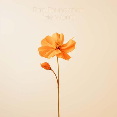 Firm Foundation (He Won't)'s cover
