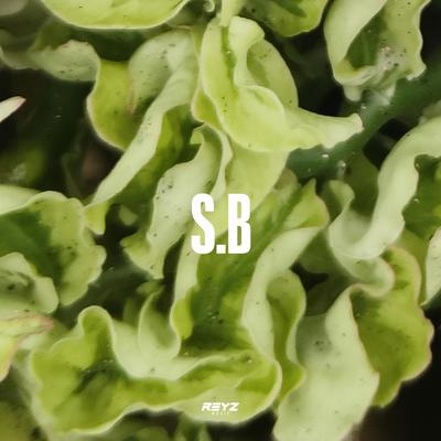 S.B's cover