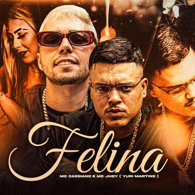 Felina By MC Cassiano, Mc Jhey, DJ Yuri Martins's cover