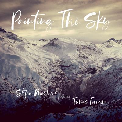 Painting The Sky By Stefan Meylaers's cover