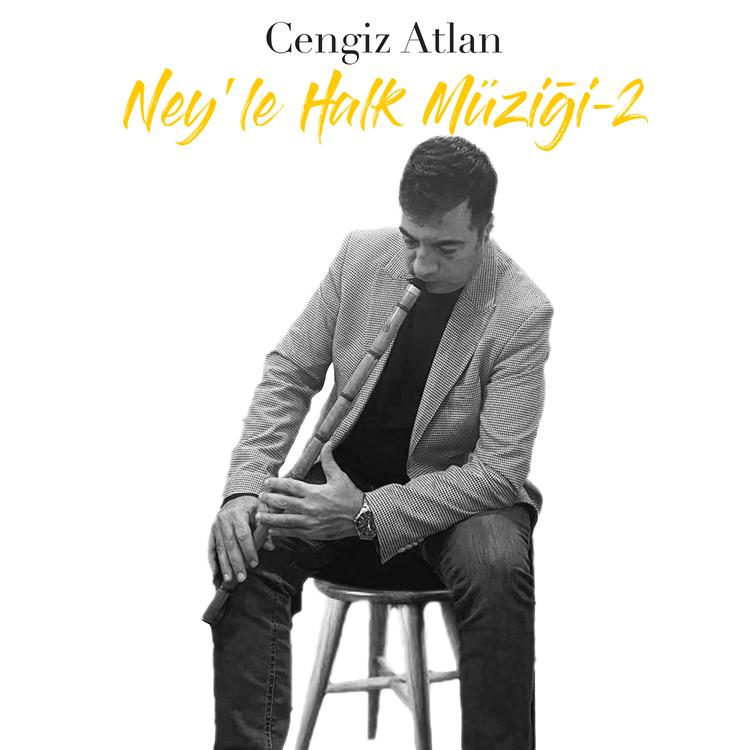 Cengiz Atlan's avatar image