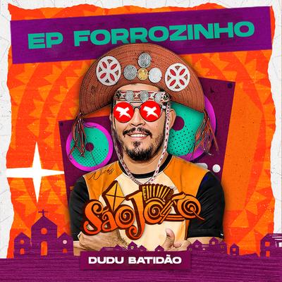 Forrozinho Brincar Com Meu Amor (Remix) By Dudu Batidão's cover