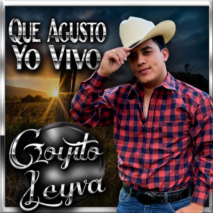 Goyito Leyva's avatar image