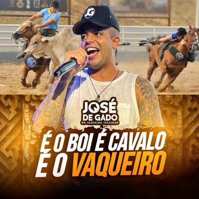 É o Boi É Cavalo É o Vaqueiro's cover