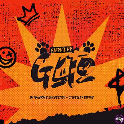 Paródia do Gato By Dj Mandrake Nordestino, Oi Wesley Santos's cover