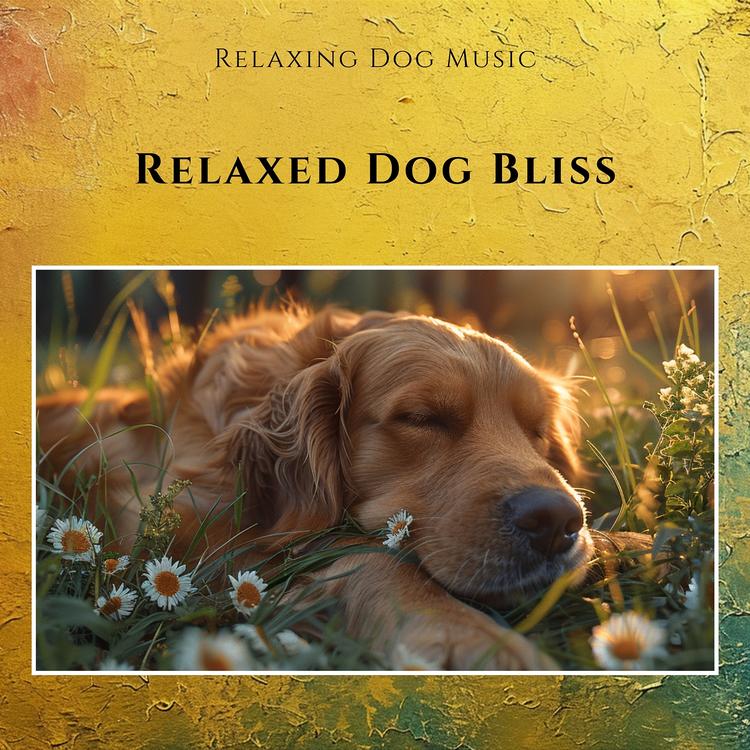 Relaxing Dog Music's avatar image