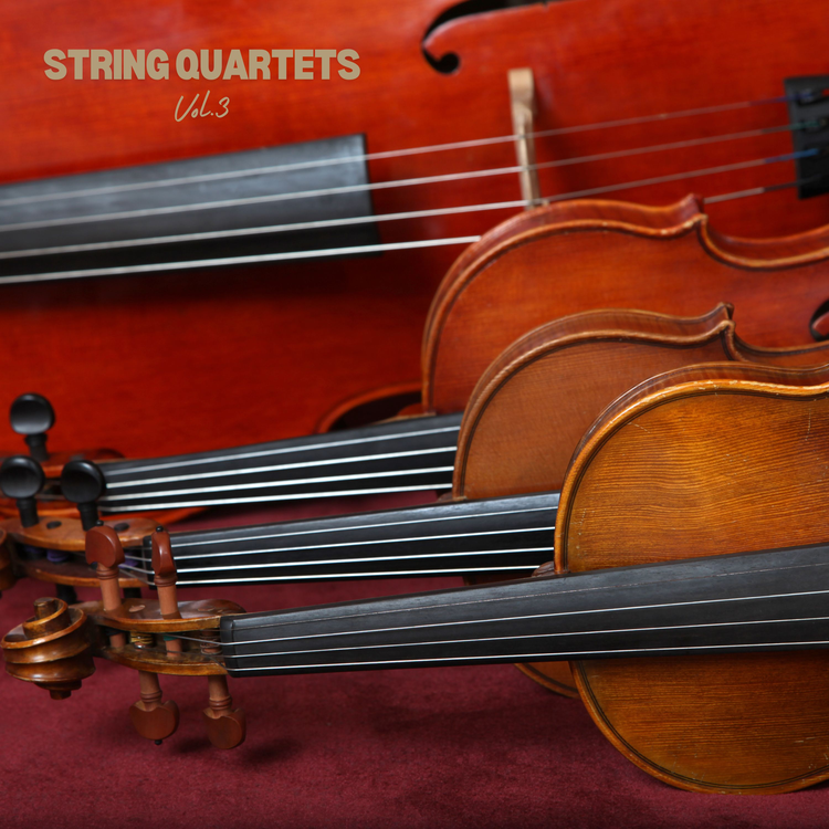 Quartetto Mitja's avatar image