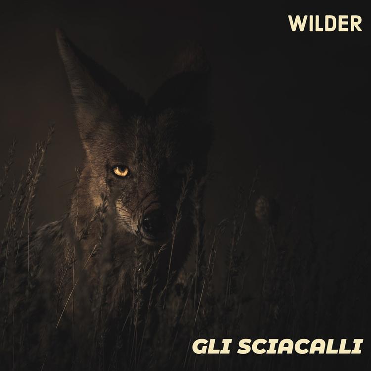 Wilder's avatar image