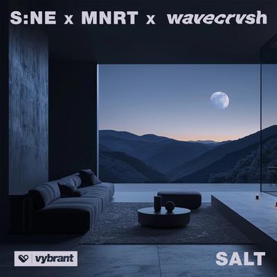 Salt By S:NE, MNRT, wavecrvsh's cover