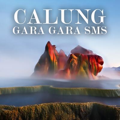 Calung Gara Gara Sms's cover