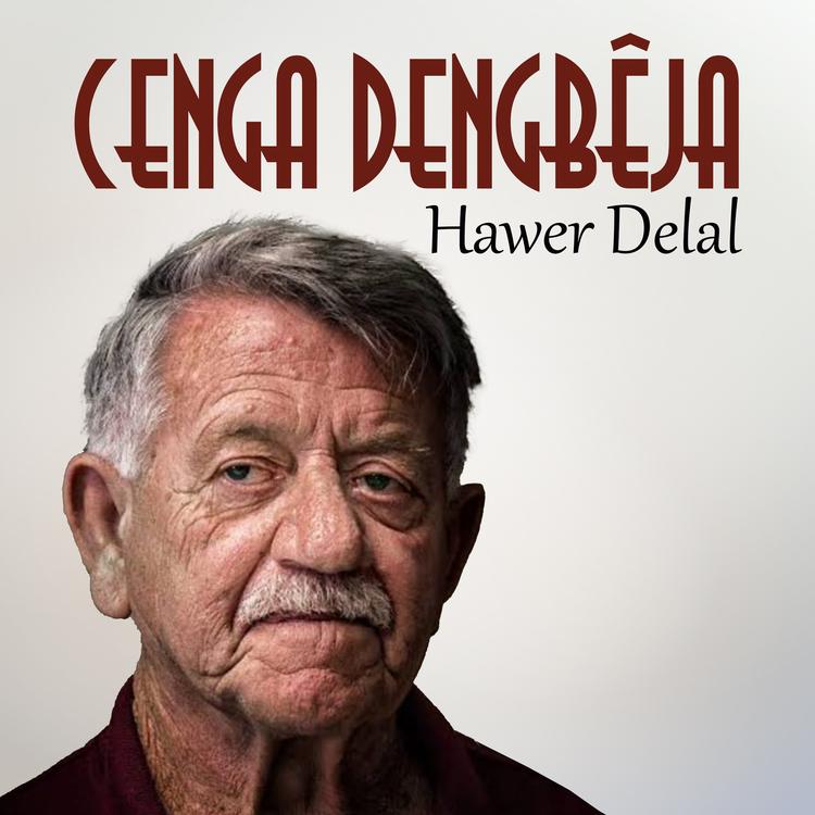 Cenga Dengbeja's avatar image