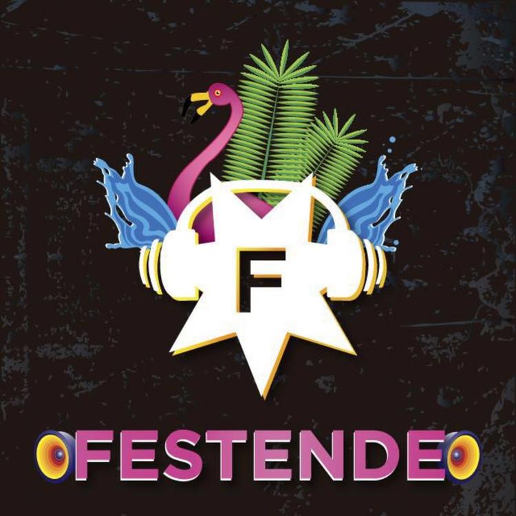 Festende's avatar image