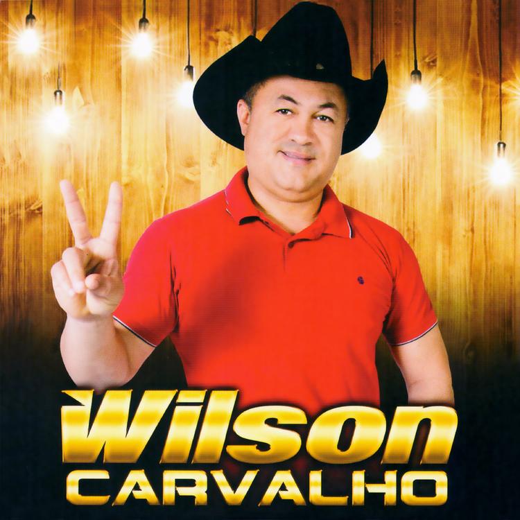 Wilson Carvalho's avatar image