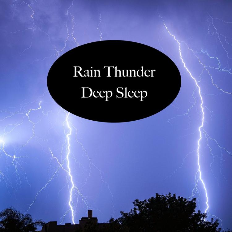 Rain & Thunder Deep Sleep's avatar image