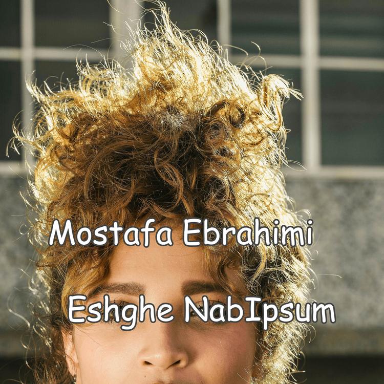 Mostafa Ebrahimi's avatar image