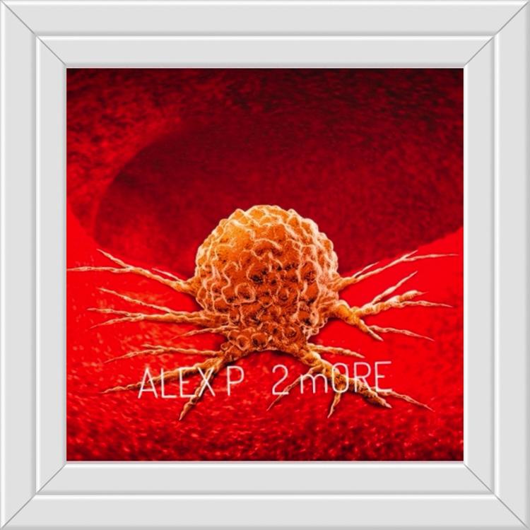 Alex P.'s avatar image