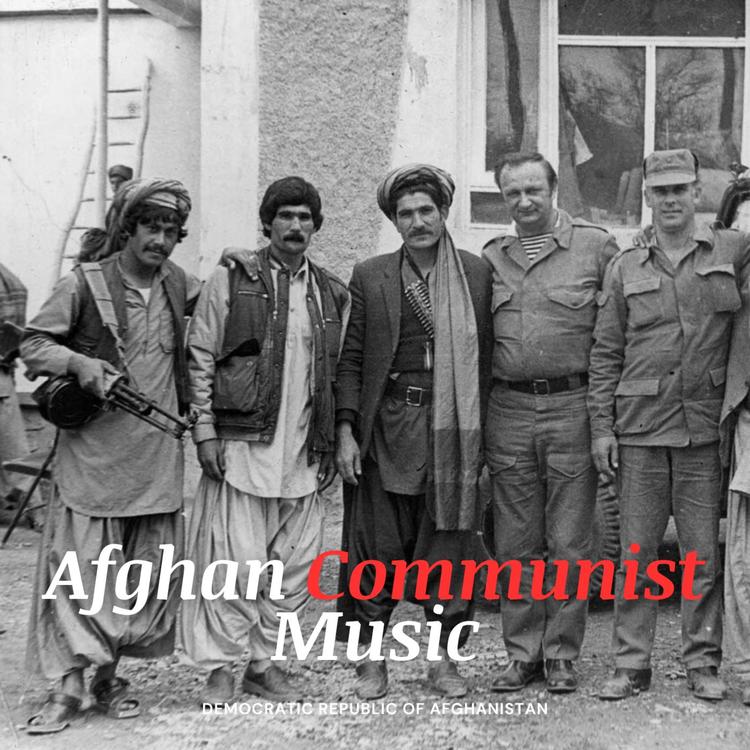 Democratic Republic of Afghanistan's avatar image