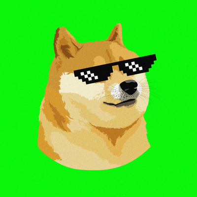 DOGE MEME SONG (REMIX)'s cover
