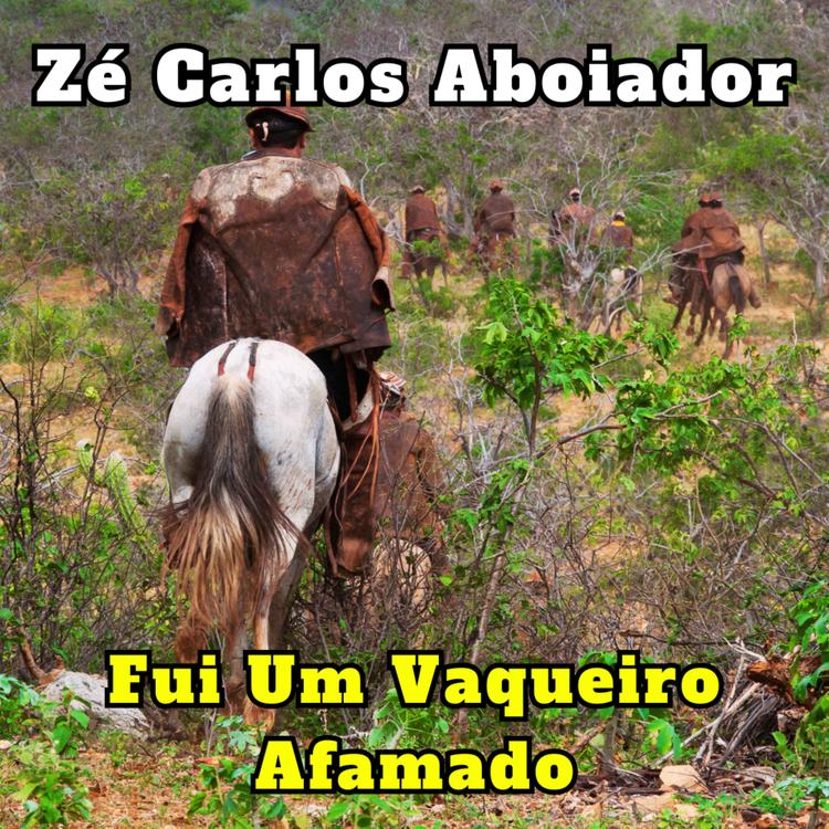 Zé Carlos Aboiador's avatar image