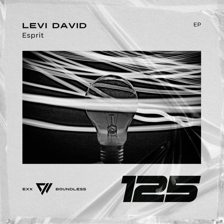 Levi David's avatar image