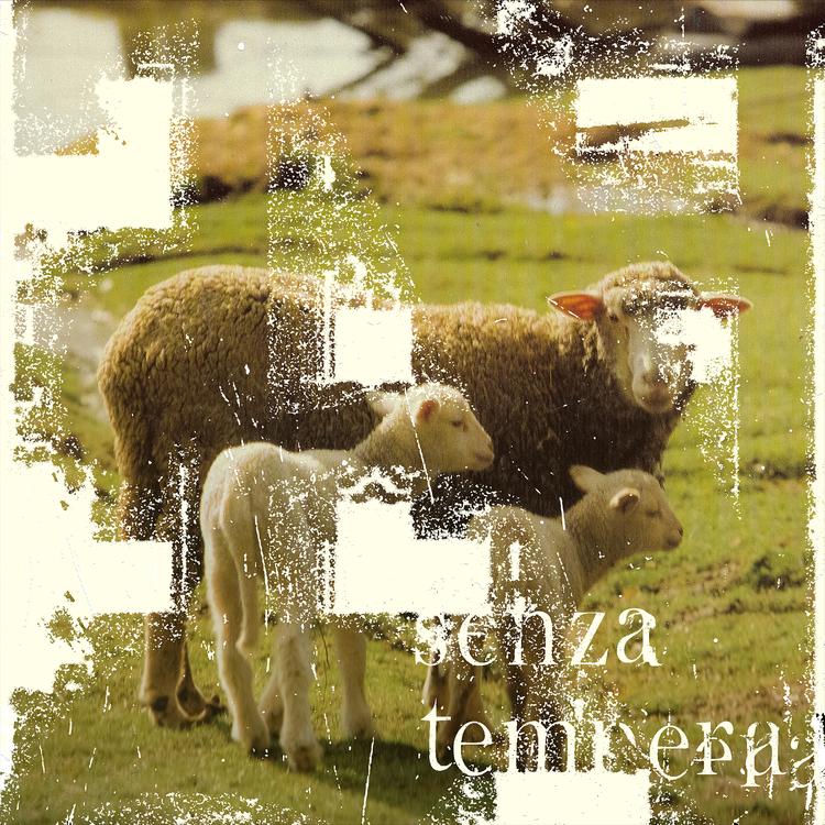 Senza Tempera's avatar image