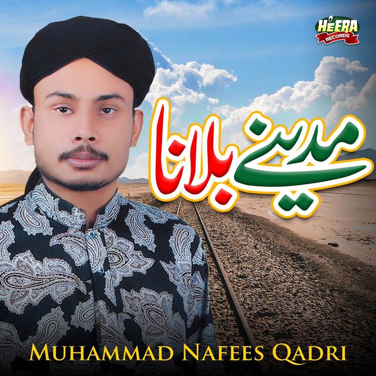 Muhammad Nafees Qadri's avatar image