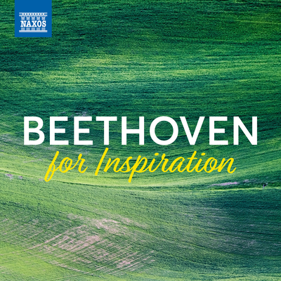 Beethoven For Inspiration's cover