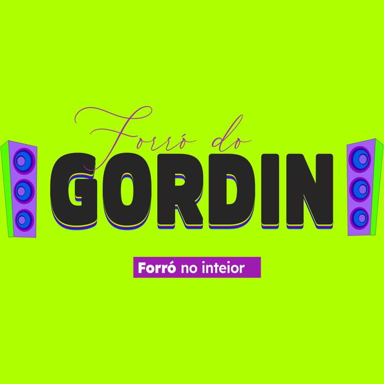 Forró do Gordin's avatar image