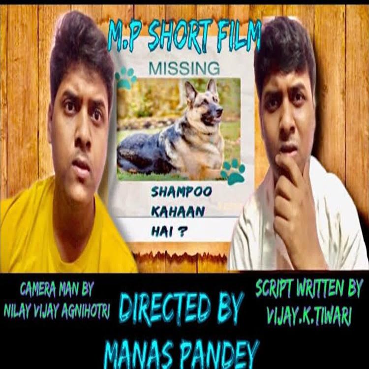 Manas Pandey's avatar image