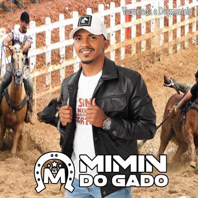 Vaquejada e Desmantelo (feat. Kauan das Muganga) (feat. Kauan das Muganga) By MIMIM DO GADO, Kauan das muganga's cover