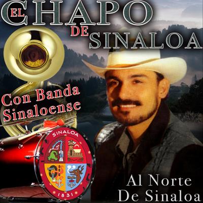 Hectáreas de Amapolas By El Chapo De Sinaloa's cover