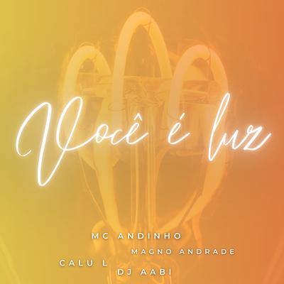 Mc Andinho's cover