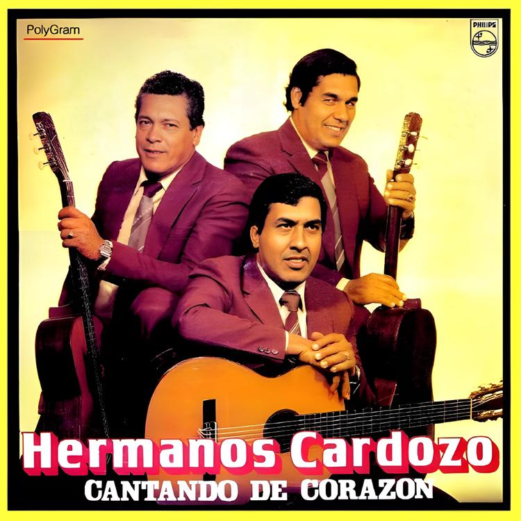 Hermanos Cardozo's avatar image