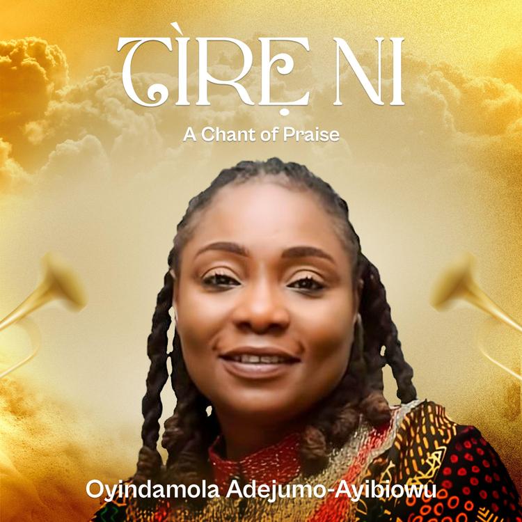 Oyindamola Adejumo Ayibiowu's avatar image