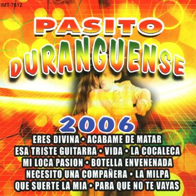 Pasito Duranguense 2006's cover