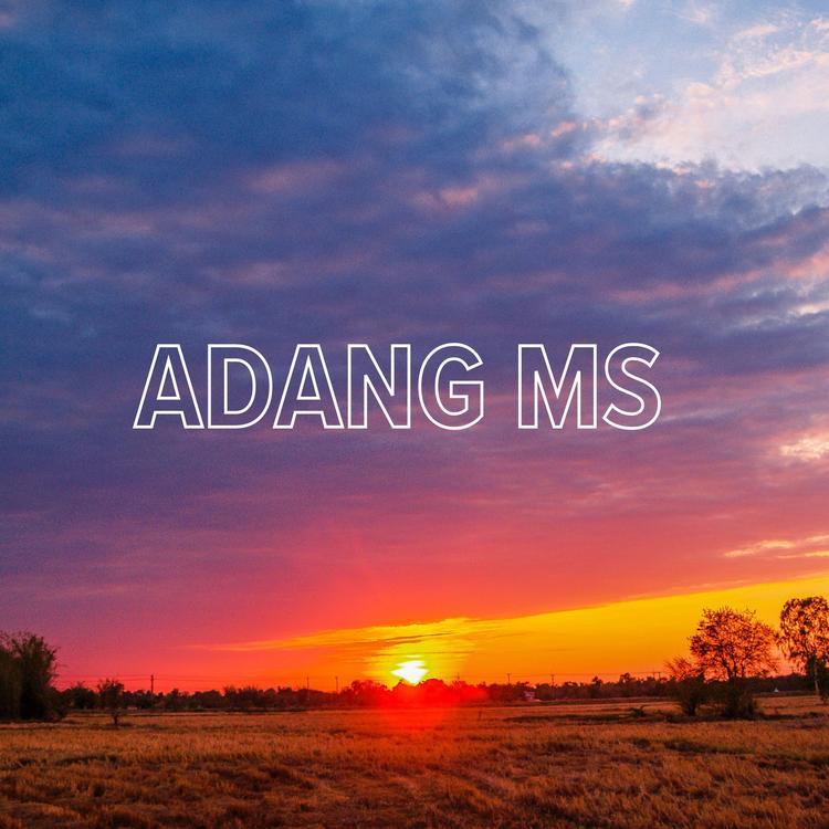 Adang Ms's avatar image